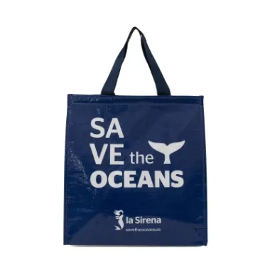 PP WOVEN INSULATED BAGS WITH GRAPHIC PRINTING