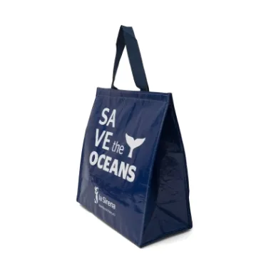 PP WOVEN INSULATED BAGS WITH GRAPHIC PRINTING